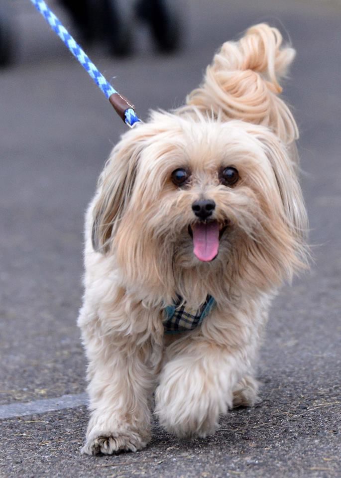 Readers pet photos